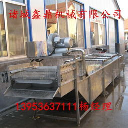 匠心制造 果蔬机械产品列表第351页的实地考察与行业洞察